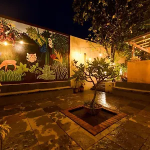 4* Hotel Safari Quest