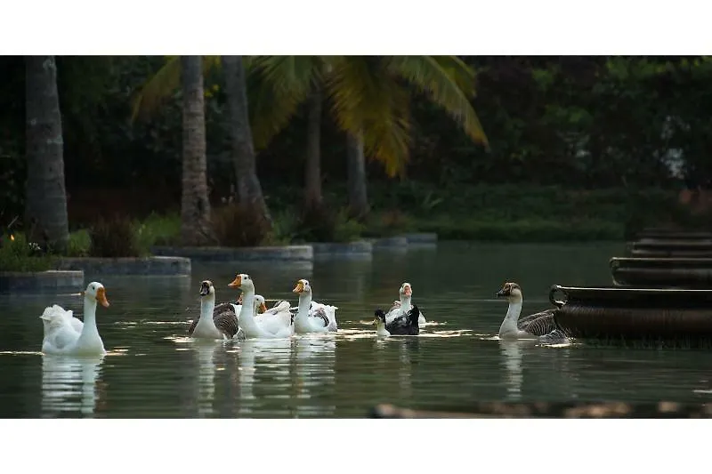 The Windflower Resort & Spa, Mysore